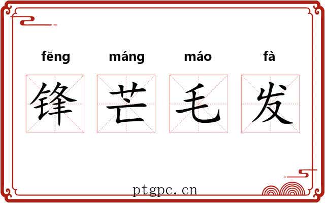 锋芒毛发
