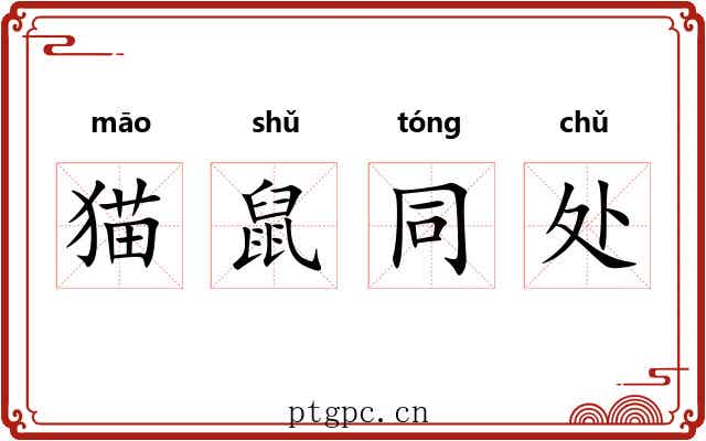 猫鼠同处