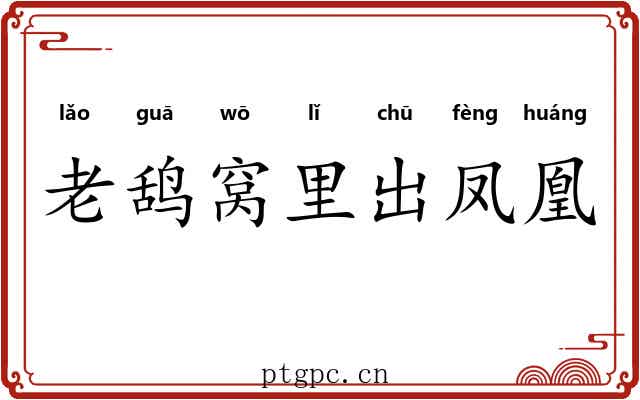 老鸹窝里出凤凰
