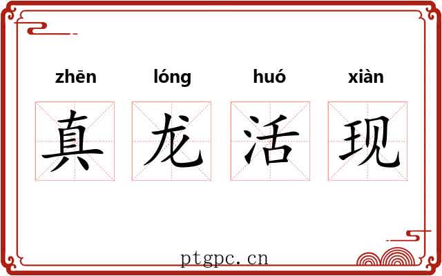 真龙活现
