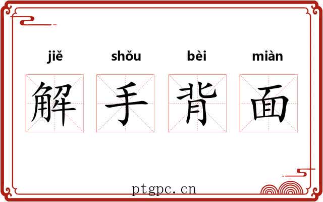 解手背面