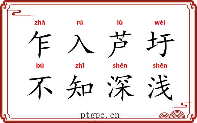 乍入芦圩，不知深浅