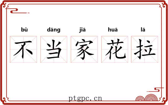 不当家花拉