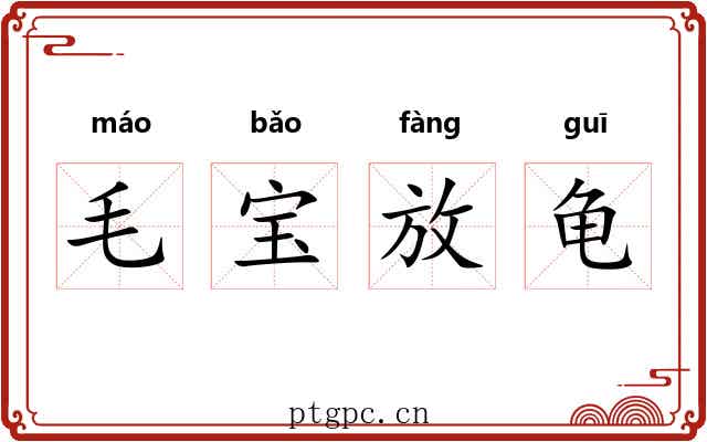 毛宝放龟