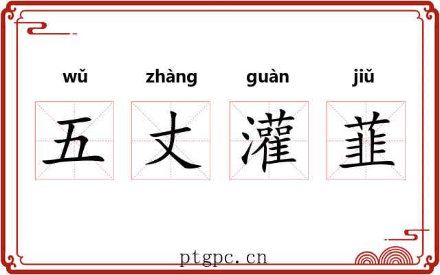 五丈灌韮