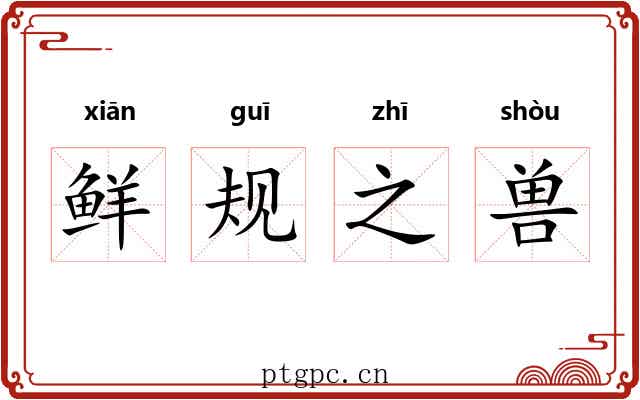 鲜规之兽