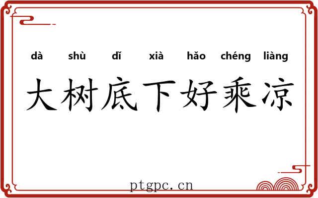 大树底下好乘凉