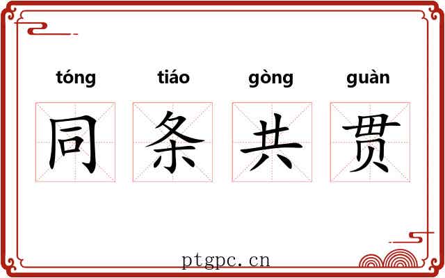 同条共贯