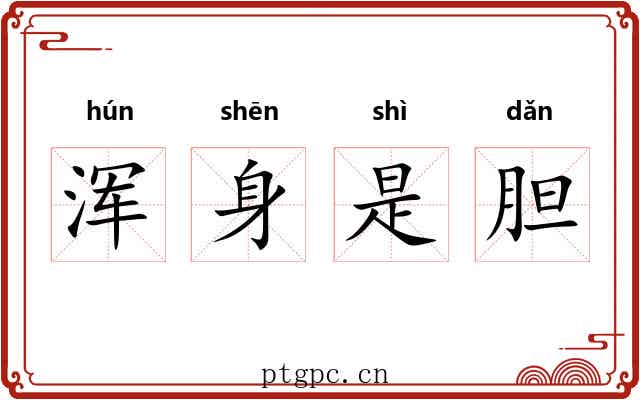 浑身是胆