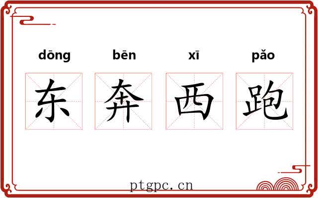 东奔西跑