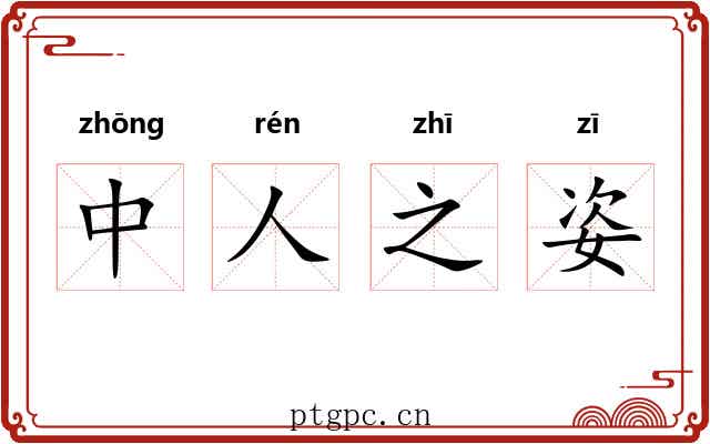 中人之姿