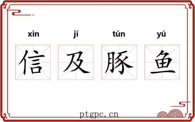 信及豚鱼