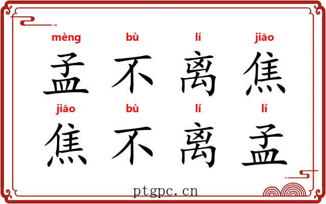 孟不离焦，焦不离孟