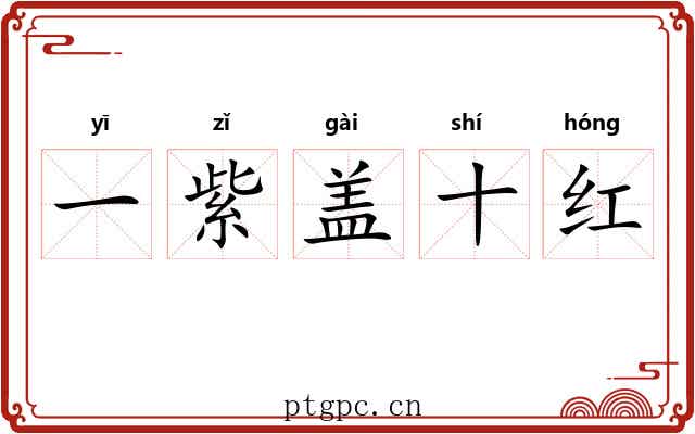 一紫盖十红