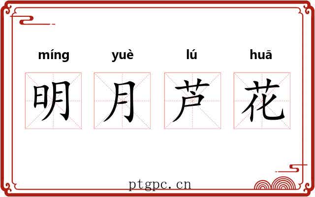 明月芦花