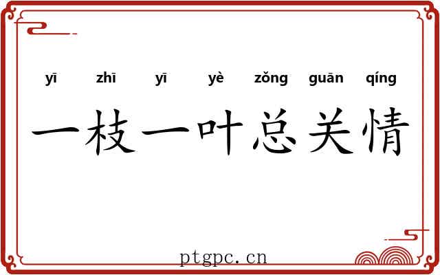 一枝一叶总关情
