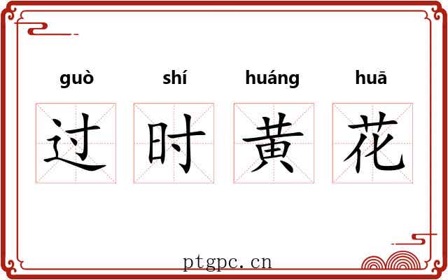 过时黄花