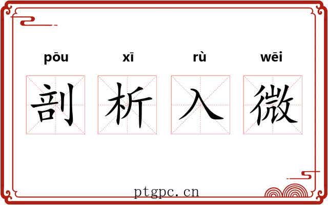剖析入微