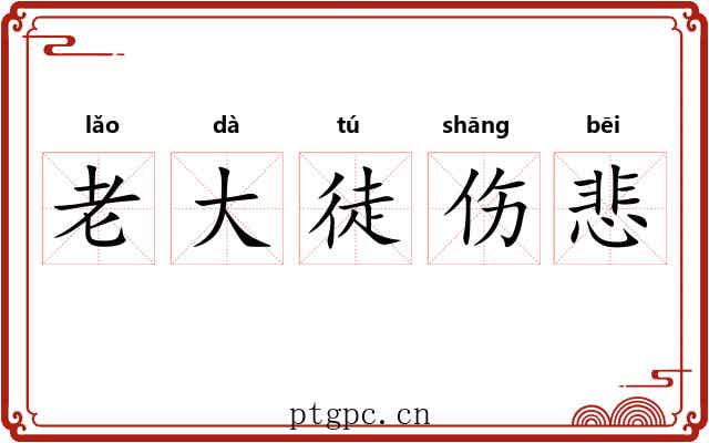 老大徒伤悲