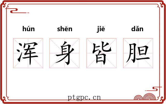 浑身皆胆