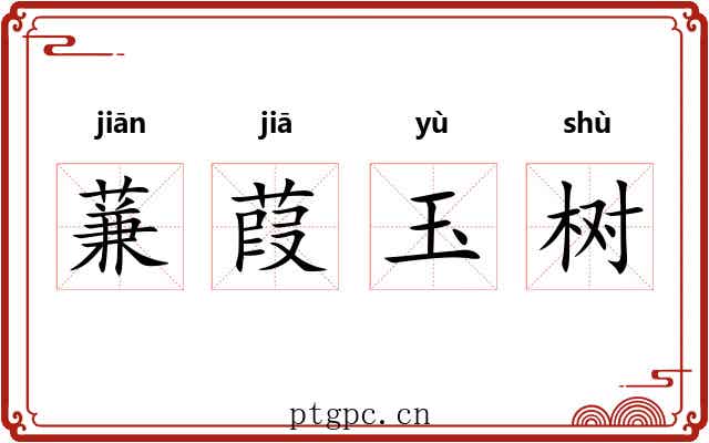 蒹葭玉树