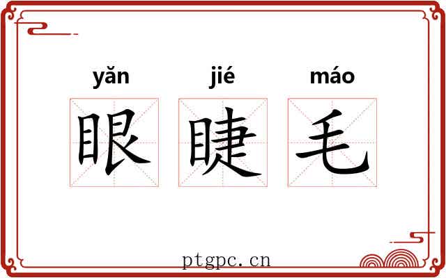 眼睫毛