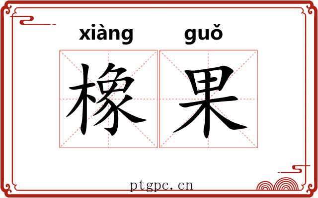 橡果