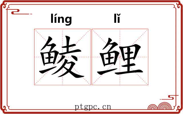 鲮鲤 鲮鲤