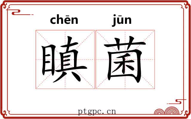 瞋菌
