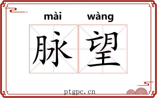 脉望 脉望