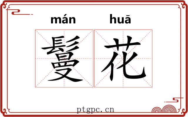 鬘花 鬘花
