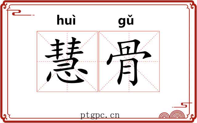 慧骨