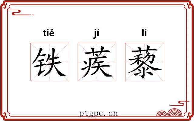 铁蒺藜 铁蒺藜