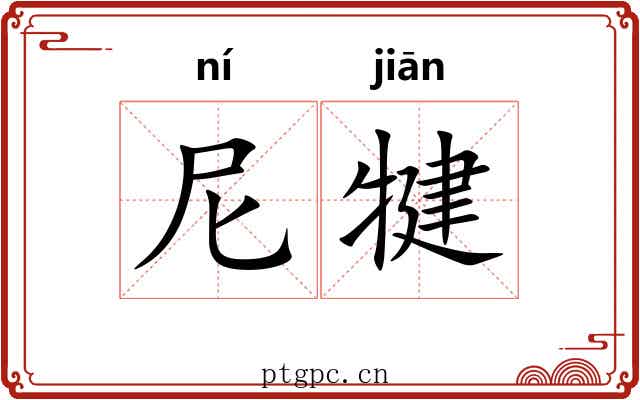 尼犍