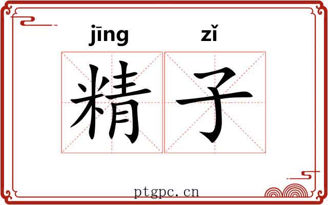 精子 精子