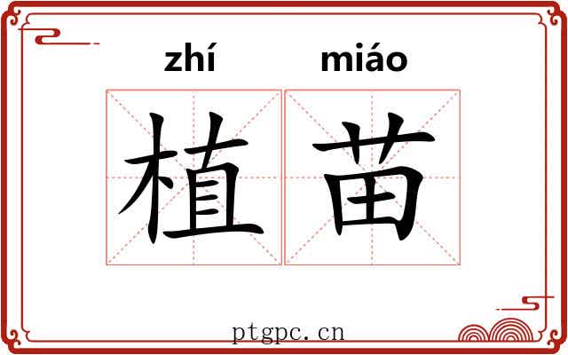 植苗 植苗