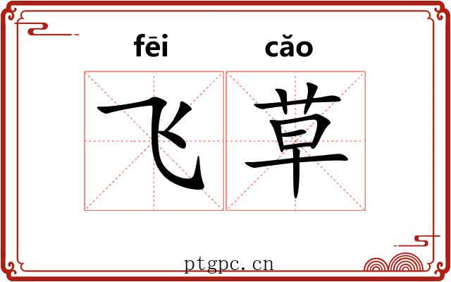 飞草 飞草