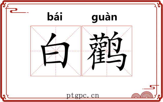 白鹳 白鹳