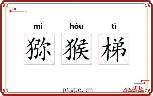 猕猴梯 猕猴梯