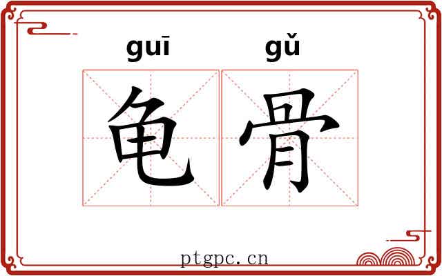 龟骨 龟骨