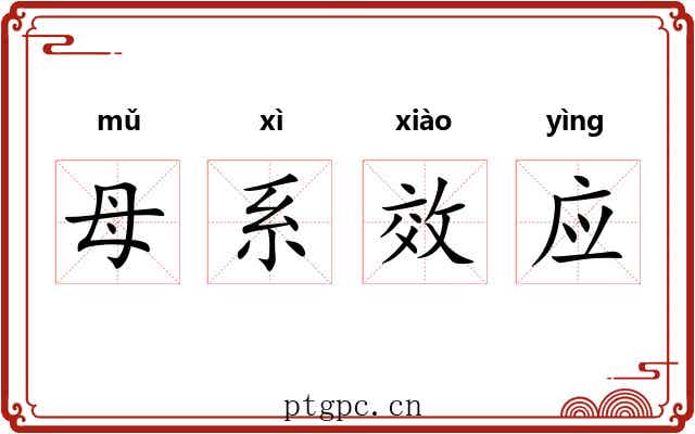 母系效应 母系效应