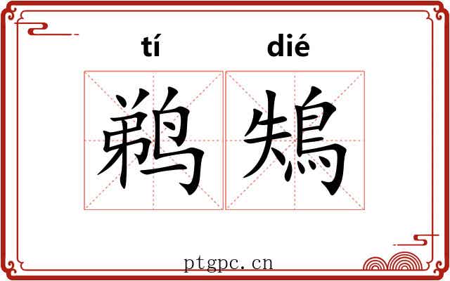鹈鴩