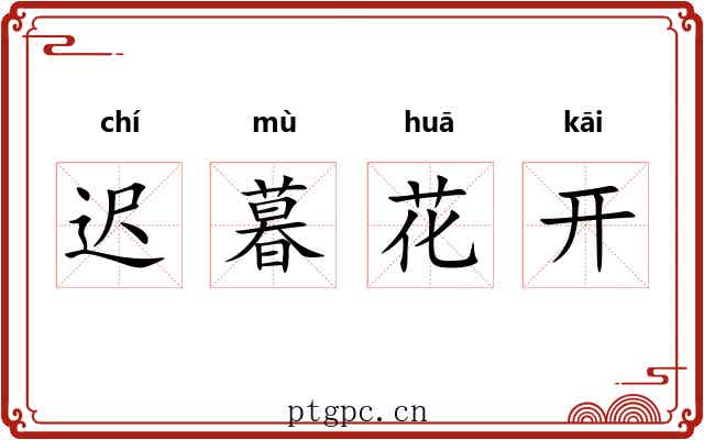 迟暮花开 迟暮花开