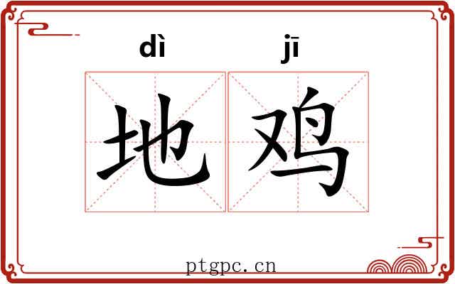 地鸡 地鸡