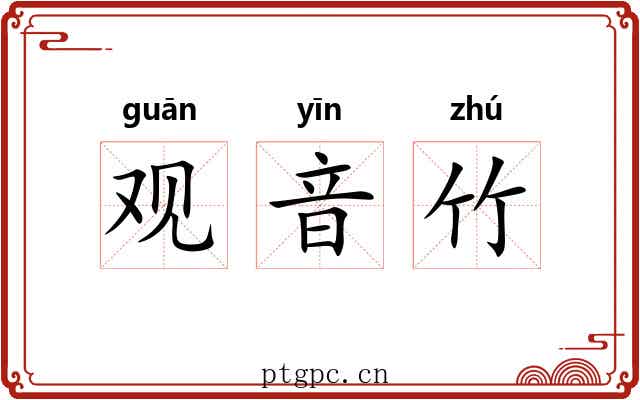 观音竹 观音竹