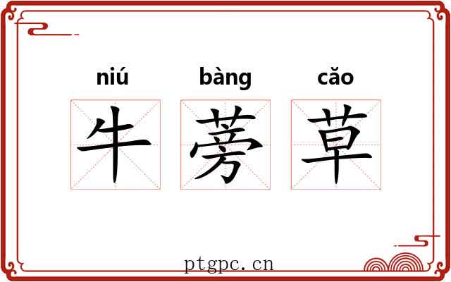 牛蒡草