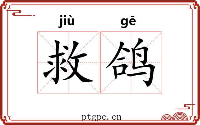 救鸽