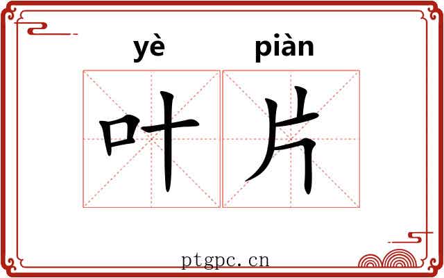 叶片 叶片