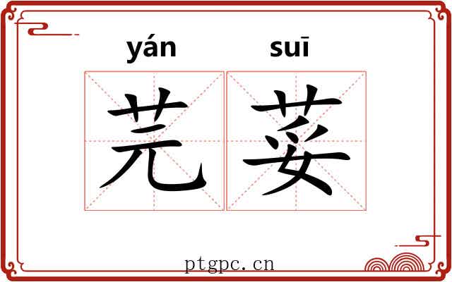 芫荽