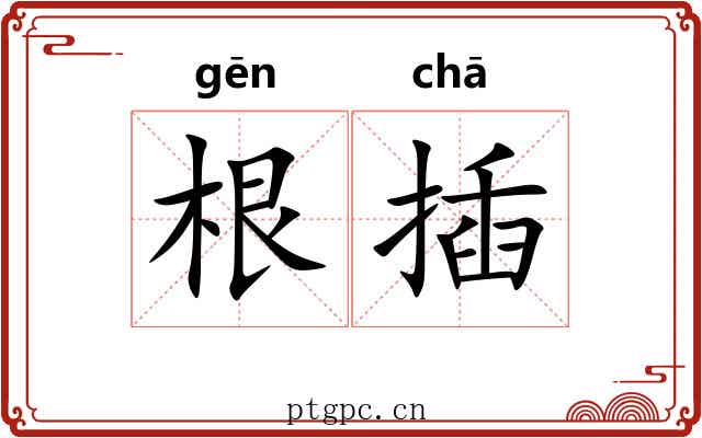 根插 根插